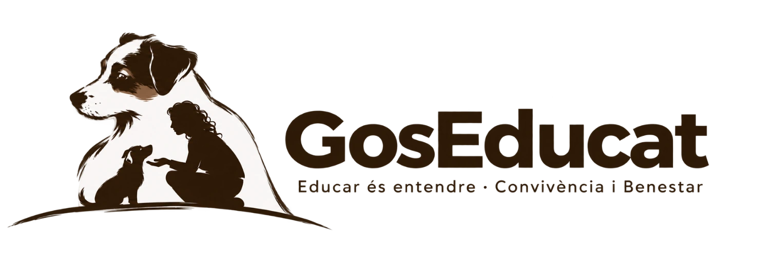 GosEducat · Educar és entendre